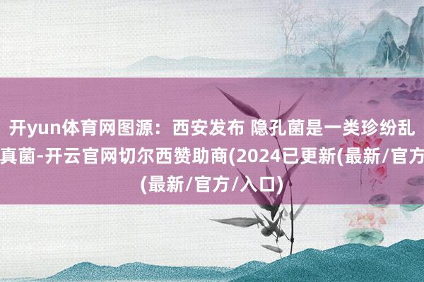 开yun体育网图源：西安发布 隐孔菌是一类珍纷乱型药用真菌-开云官网切尔西赞助商(2024已更新(最新/官方/入口)